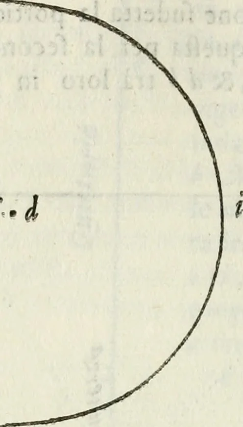 An illustration from Architettura ciuile demostratiuamente proportionata et accresciuta di nuoue regole : con l'vso delle quali si facilita l'inuentione d'ogni douuta proportione nelli cinque ordini, e col ritrouamento d'vn nuouo strumento angolare, si da il modo à gl'operarij medesimi di pratticamente stabilire le sacome in ogni loro necessario contorno, 1661, leaf 127