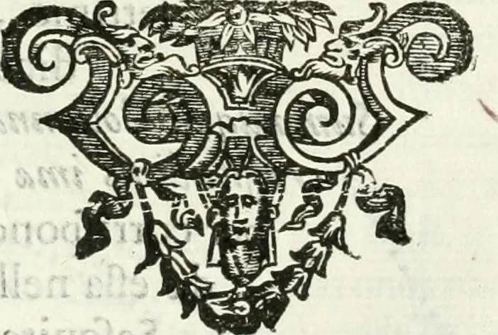 An illustration from Architettura ciuile demostratiuamente proportionata et accresciuta di nuoue regole : con l'vso delle quali si facilita l'inuentione d'ogni douuta proportione nelli cinque ordini, e col ritrouamento d'vn nuouo strumento angolare, si da il modo à gl'operarij medesimi di pratticamente stabilire le sacome in ogni loro necessario contorno, 1661, leaf 132