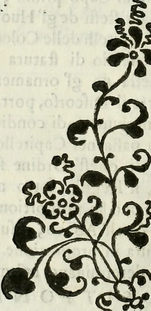 An illustration from Architettura ciuile demostratiuamente proportionata et accresciuta di nuoue regole : con l'vso delle quali si facilita l'inuentione d'ogni douuta proportione nelli cinque ordini, e col ritrouamento d'vn nuouo strumento angolare, si da il modo à gl'operarij medesimi di pratticamente stabilire le sacome in ogni loro necessario contorno, 1661, leaf 141