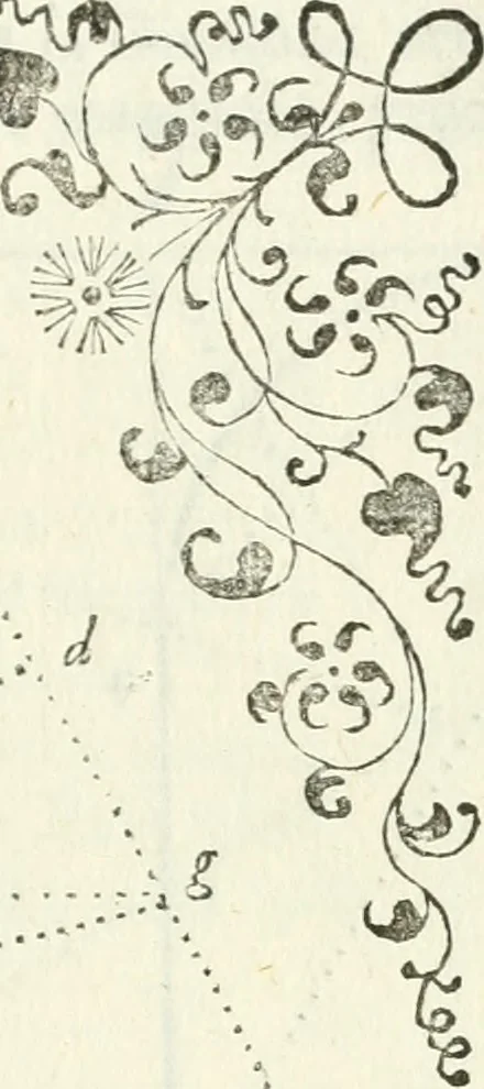An illustration from Architettura ciuile demostratiuamente proportionata et accresciuta di nuoue regole : con l'vso delle quali si facilita l'inuentione d'ogni douuta proportione nelli cinque ordini, e col ritrouamento d'vn nuouo strumento angolare, si da il modo à gl'operarij medesimi di pratticamente stabilire le sacome in ogni loro necessario contorno, 1661, leaf 148