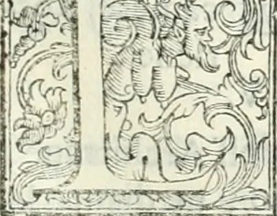 An illustration from Architettura ciuile demostratiuamente proportionata et accresciuta di nuoue regole : con l'vso delle quali si facilita l'inuentione d'ogni douuta proportione nelli cinque ordini, e col ritrouamento d'vn nuouo strumento angolare, si da il modo à gl'operarij medesimi di pratticamente stabilire le sacome in ogni loro necessario contorno, 1661, leaf 148