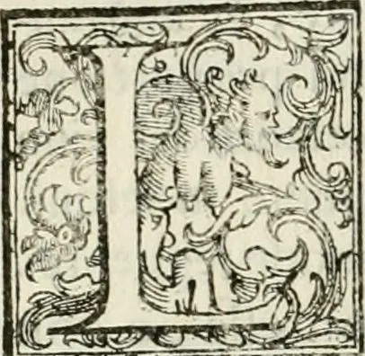 An illustration from Architettura ciuile demostratiuamente proportionata et accresciuta di nuoue regole : con l'vso delle quali si facilita l'inuentione d'ogni douuta proportione nelli cinque ordini, e col ritrouamento d'vn nuouo strumento angolare, si da il modo à gl'operarij medesimi di pratticamente stabilire le sacome in ogni loro necessario contorno, 1661, leaf 165