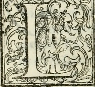 An illustration from Architettura ciuile demostratiuamente proportionata et accresciuta di nuoue regole : con l'vso delle quali si facilita l'inuentione d'ogni douuta proportione nelli cinque ordini, e col ritrouamento d'vn nuouo strumento angolare, si da il modo à gl'operarij medesimi di pratticamente stabilire le sacome in ogni loro necessario contorno, 1661, leaf 179
