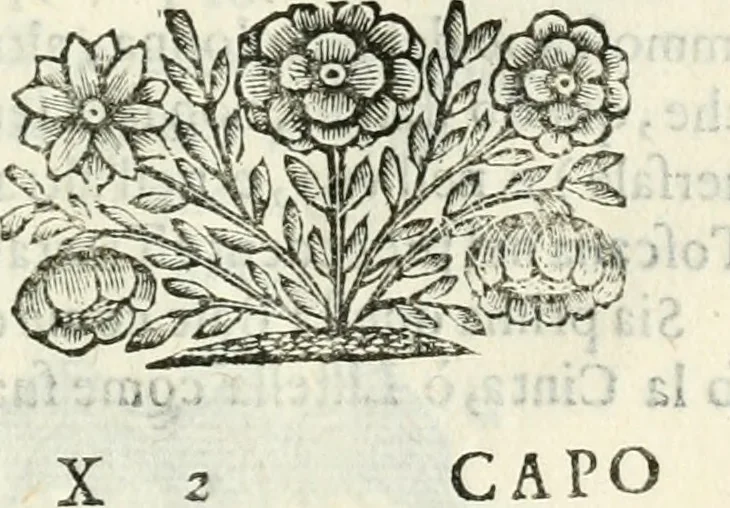 An illustration from Architettura ciuile demostratiuamente proportionata et accresciuta di nuoue regole : con l'vso delle quali si facilita l'inuentione d'ogni douuta proportione nelli cinque ordini, e col ritrouamento d'vn nuouo strumento angolare, si da il modo à gl'operarij medesimi di pratticamente stabilire le sacome in ogni loro necessario contorno, 1661, leaf 180