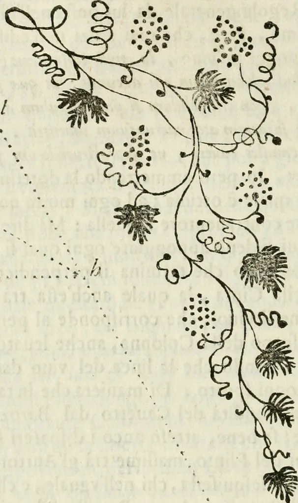 An illustration from Architettura ciuile demostratiuamente proportionata et accresciuta di nuoue regole : con l'vso delle quali si facilita l'inuentione d'ogni douuta proportione nelli cinque ordini, e col ritrouamento d'vn nuouo strumento angolare, si da il modo à gl'operarij medesimi di pratticamente stabilire le sacome in ogni loro necessario contorno, 1661, leaf 191
