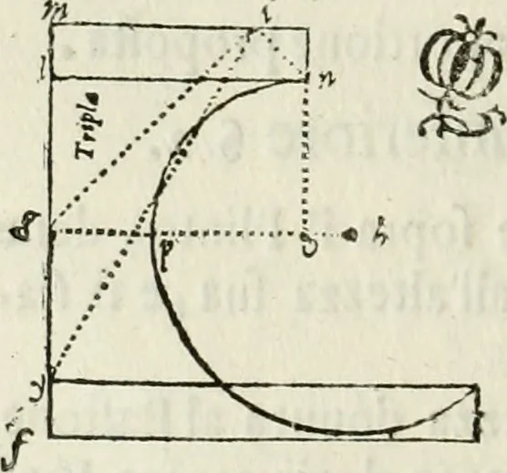 An illustration from Architettura ciuile demostratiuamente proportionata et accresciuta di nuoue regole : con l'vso delle quali si facilita l'inuentione d'ogni douuta proportione nelli cinque ordini, e col ritrouamento d'vn nuouo strumento angolare, si da il modo à gl'operarij medesimi di pratticamente stabilire le sacome in ogni loro necessario contorno, 1661, leaf 193