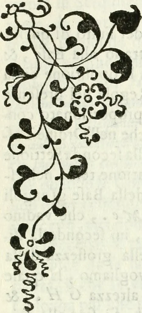 An illustration from Architettura ciuile demostratiuamente proportionata et accresciuta di nuoue regole : con l'vso delle quali si facilita l'inuentione d'ogni douuta proportione nelli cinque ordini, e col ritrouamento d'vn nuouo strumento angolare, si da il modo à gl'operarij medesimi di pratticamente stabilire le sacome in ogni loro necessario contorno, 1661, leaf 208