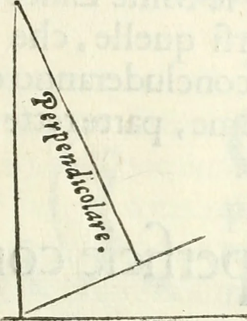 An illustration from Architettura ciuile demostratiuamente proportionata et accresciuta di nuoue regole : con l'vso delle quali si facilita l'inuentione d'ogni douuta proportione nelli cinque ordini, e col ritrouamento d'vn nuouo strumento angolare, si da il modo à gl'operarij medesimi di pratticamente stabilire le sacome in ogni loro necessario contorno, 1661, leaf 22