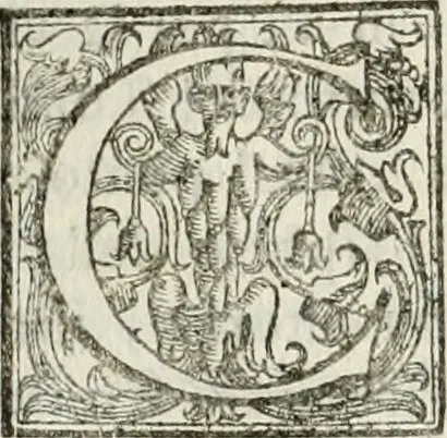 An illustration from Architettura ciuile demostratiuamente proportionata et accresciuta di nuoue regole : con l'vso delle quali si facilita l'inuentione d'ogni douuta proportione nelli cinque ordini, e col ritrouamento d'vn nuouo strumento angolare, si da il modo à gl'operarij medesimi di pratticamente stabilire le sacome in ogni loro necessario contorno, 1661, leaf 221