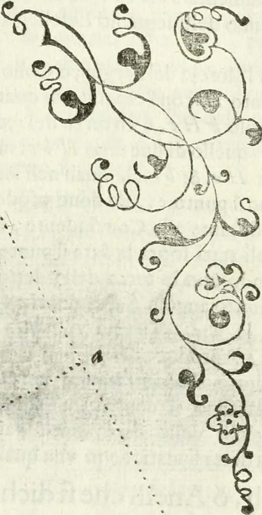 An illustration from Architettura ciuile demostratiuamente proportionata et accresciuta di nuoue regole : con l'vso delle quali si facilita l'inuentione d'ogni douuta proportione nelli cinque ordini, e col ritrouamento d'vn nuouo strumento angolare, si da il modo à gl'operarij medesimi di pratticamente stabilire le sacome in ogni loro necessario contorno, 1661, leaf 222