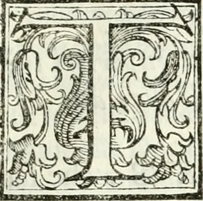 An illustration from Architettura ciuile demostratiuamente proportionata et accresciuta di nuoue regole : con l'vso delle quali si facilita l'inuentione d'ogni douuta proportione nelli cinque ordini, e col ritrouamento d'vn nuouo strumento angolare, si da il modo à gl'operarij medesimi di pratticamente stabilire le sacome in ogni loro necessario contorno, 1661, leaf 228