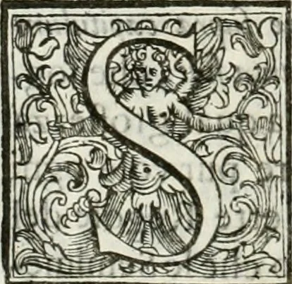 An illustration from Architettura ciuile demostratiuamente proportionata et accresciuta di nuoue regole : con l'vso delle quali si facilita l'inuentione d'ogni douuta proportione nelli cinque ordini, e col ritrouamento d'vn nuouo strumento angolare, si da il modo à gl'operarij medesimi di pratticamente stabilire le sacome in ogni loro necessario contorno, 1661, leaf 239