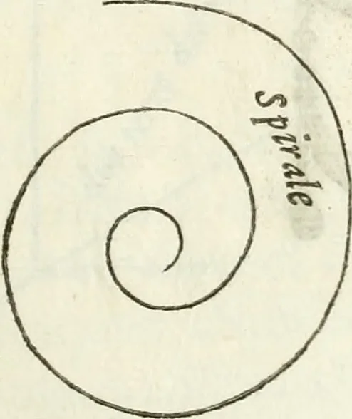An illustration from Architettura ciuile demostratiuamente proportionata et accresciuta di nuoue regole : con l'vso delle quali si facilita l'inuentione d'ogni douuta proportione nelli cinque ordini, e col ritrouamento d'vn nuouo strumento angolare, si da il modo à gl'operarij medesimi di pratticamente stabilire le sacome in ogni loro necessario contorno, 1661, leaf 24