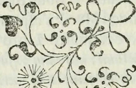 An illustration from Architettura ciuile demostratiuamente proportionata et accresciuta di nuoue regole : con l'vso delle quali si facilita l'inuentione d'ogni douuta proportione nelli cinque ordini, e col ritrouamento d'vn nuouo strumento angolare, si da il modo à gl'operarij medesimi di pratticamente stabilire le sacome in ogni loro necessario contorno, 1661, leaf 241