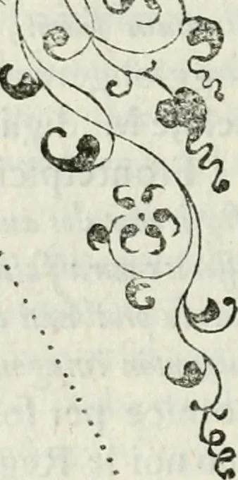An illustration from Architettura ciuile demostratiuamente proportionata et accresciuta di nuoue regole : con l'vso delle quali si facilita l'inuentione d'ogni douuta proportione nelli cinque ordini, e col ritrouamento d'vn nuouo strumento angolare, si da il modo à gl'operarij medesimi di pratticamente stabilire le sacome in ogni loro necessario contorno, 1661, leaf 241