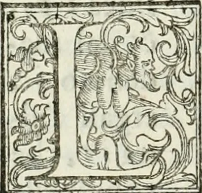 An illustration from Architettura ciuile demostratiuamente proportionata et accresciuta di nuoue regole : con l'vso delle quali si facilita l'inuentione d'ogni douuta proportione nelli cinque ordini, e col ritrouamento d'vn nuouo strumento angolare, si da il modo à gl'operarij medesimi di pratticamente stabilire le sacome in ogni loro necessario contorno, 1661, leaf 301
