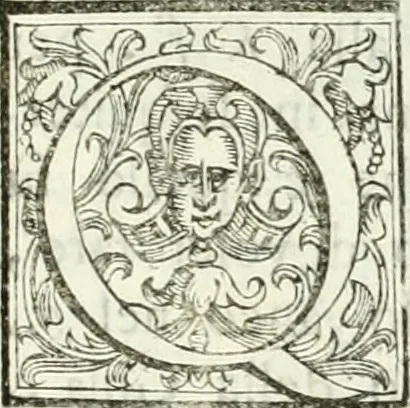An illustration from Architettura ciuile demostratiuamente proportionata et accresciuta di nuoue regole : con l'vso delle quali si facilita l'inuentione d'ogni douuta proportione nelli cinque ordini, e col ritrouamento d'vn nuouo strumento angolare, si da il modo à gl'operarij medesimi di pratticamente stabilire le sacome in ogni loro necessario contorno, 1661, leaf 304