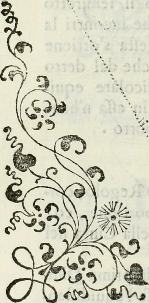 An illustration from Architettura ciuile demostratiuamente proportionata et accresciuta di nuoue regole : con l'vso delle quali si facilita l'inuentione d'ogni douuta proportione nelli cinque ordini, e col ritrouamento d'vn nuouo strumento angolare, si da il modo à gl'operarij medesimi di pratticamente stabilire le sacome in ogni loro necessario contorno, 1661, leaf 307