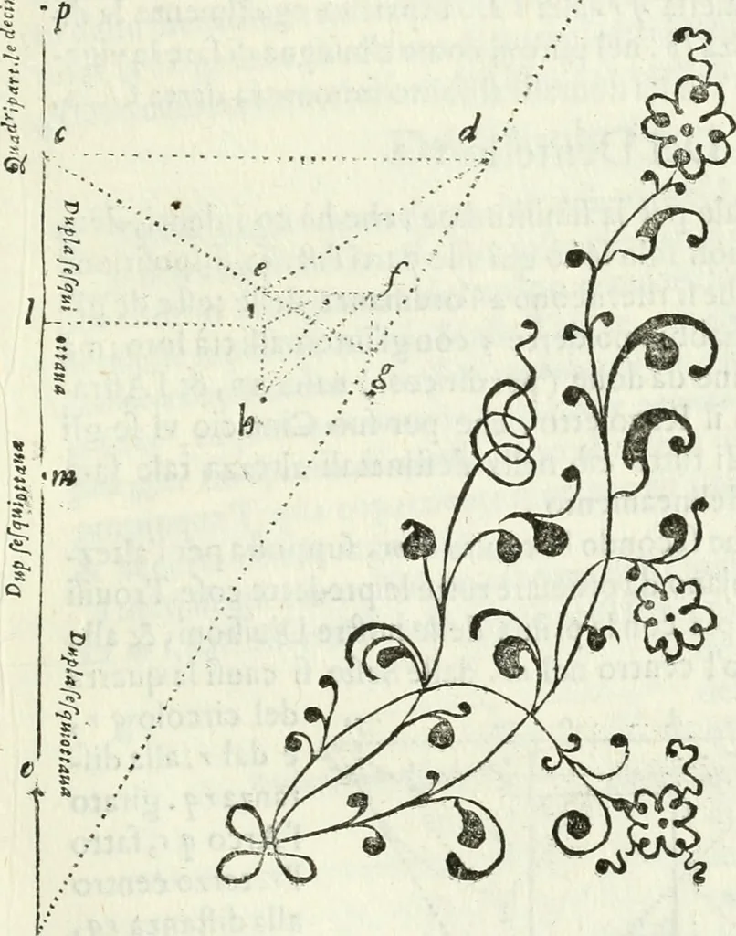An illustration from Architettura ciuile demostratiuamente proportionata et accresciuta di nuoue regole : con l'vso delle quali si facilita l'inuentione d'ogni douuta proportione nelli cinque ordini, e col ritrouamento d'vn nuouo strumento angolare, si da il modo à gl'operarij medesimi di pratticamente stabilire le sacome in ogni loro necessario contorno, 1661, leaf 310