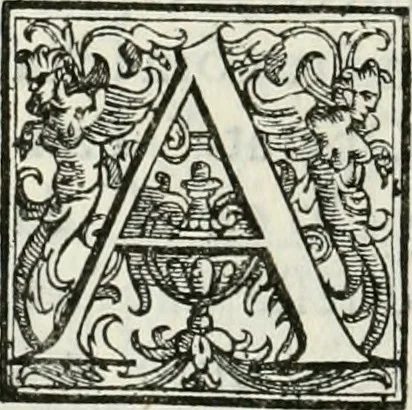 An illustration from Architettura ciuile demostratiuamente proportionata et accresciuta di nuoue regole : con l'vso delle quali si facilita l'inuentione d'ogni douuta proportione nelli cinque ordini, e col ritrouamento d'vn nuouo strumento angolare, si da il modo à gl'operarij medesimi di pratticamente stabilire le sacome in ogni loro necessario contorno, 1661, leaf 321