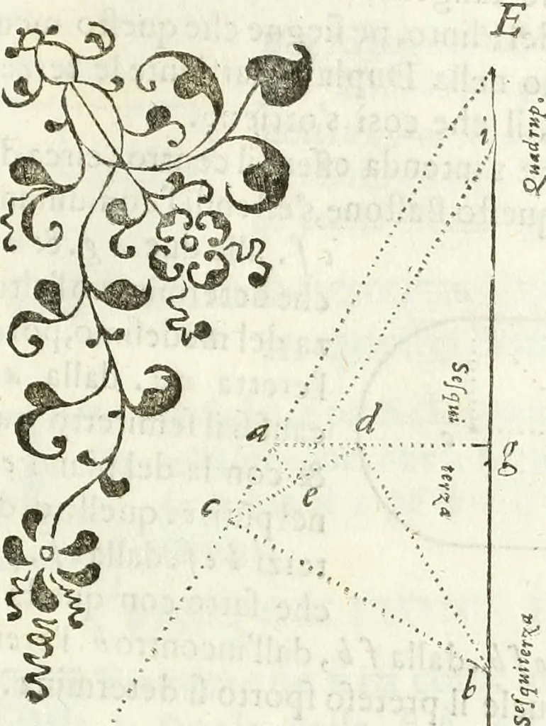 An illustration from Architettura ciuile demostratiuamente proportionata et accresciuta di nuoue regole : con l'vso delle quali si facilita l'inuentione d'ogni douuta proportione nelli cinque ordini, e col ritrouamento d'vn nuouo strumento angolare, si da il modo à gl'operarij medesimi di pratticamente stabilire le sacome in ogni loro necessario contorno, 1661, leaf 322