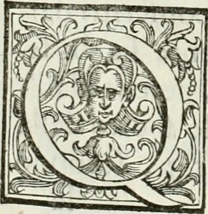 An illustration from Architettura ciuile demostratiuamente proportionata et accresciuta di nuoue regole : con l'vso delle quali si facilita l'inuentione d'ogni douuta proportione nelli cinque ordini, e col ritrouamento d'vn nuouo strumento angolare, si da il modo à gl'operarij medesimi di pratticamente stabilire le sacome in ogni loro necessario contorno, 1661, leaf 325