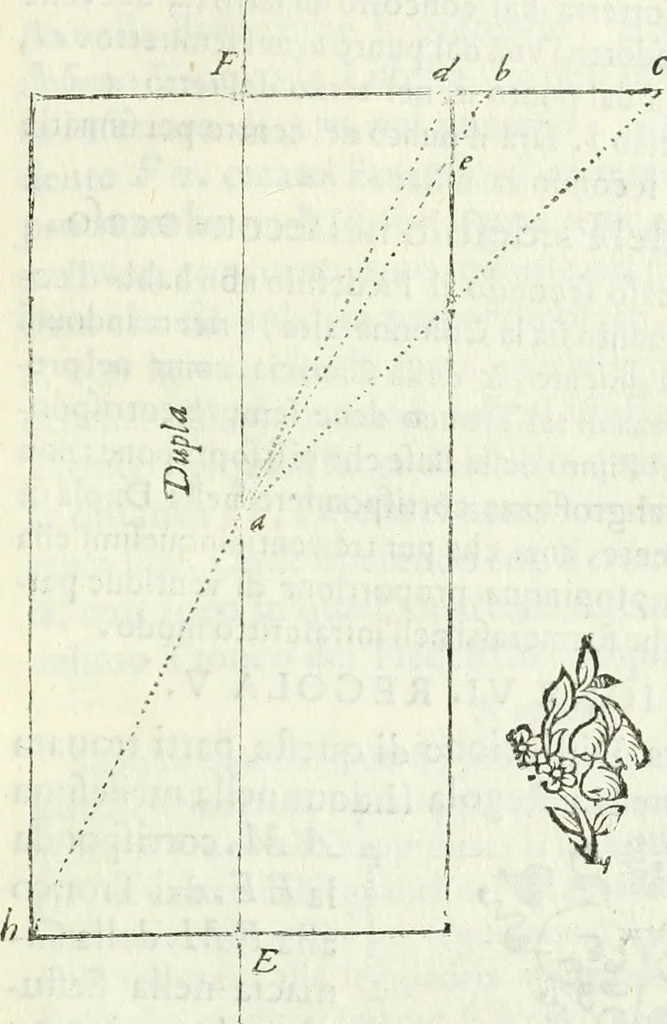 An illustration from Architettura ciuile demostratiuamente proportionata et accresciuta di nuoue regole : con l'vso delle quali si facilita l'inuentione d'ogni douuta proportione nelli cinque ordini, e col ritrouamento d'vn nuouo strumento angolare, si da il modo à gl'operarij medesimi di pratticamente stabilire le sacome in ogni loro necessario contorno, 1661, leaf 326
