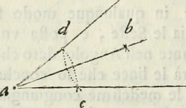 An illustration from Architettura ciuile demostratiuamente proportionata et accresciuta di nuoue regole : con l'vso delle quali si facilita l'inuentione d'ogni douuta proportione nelli cinque ordini, e col ritrouamento d'vn nuouo strumento angolare, si da il modo à gl'operarij medesimi di pratticamente stabilire le sacome in ogni loro necessario contorno, 1661, leaf 33