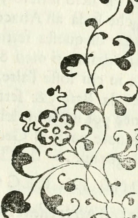 An illustration from Architettura ciuile demostratiuamente proportionata et accresciuta di nuoue regole : con l'vso delle quali si facilita l'inuentione d'ogni douuta proportione nelli cinque ordini, e col ritrouamento d'vn nuouo strumento angolare, si da il modo à gl'operarij medesimi di pratticamente stabilire le sacome in ogni loro necessario contorno, 1661, leaf 332