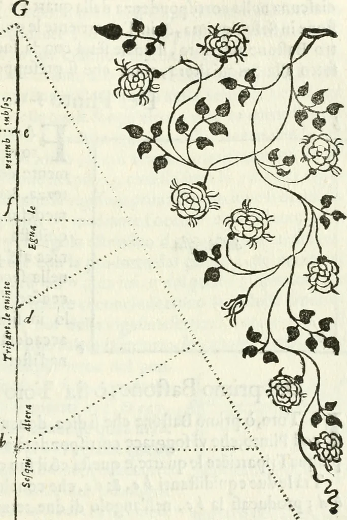 An illustration from Architettura ciuile demostratiuamente proportionata et accresciuta di nuoue regole : con l'vso delle quali si facilita l'inuentione d'ogni douuta proportione nelli cinque ordini, e col ritrouamento d'vn nuouo strumento angolare, si da il modo à gl'operarij medesimi di pratticamente stabilire le sacome in ogni loro necessario contorno, 1661, leaf 336