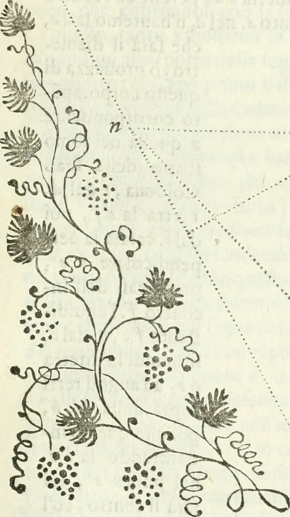 An illustration from Architettura ciuile demostratiuamente proportionata et accresciuta di nuoue regole : con l'vso delle quali si facilita l'inuentione d'ogni douuta proportione nelli cinque ordini, e col ritrouamento d'vn nuouo strumento angolare, si da il modo à gl'operarij medesimi di pratticamente stabilire le sacome in ogni loro necessario contorno, 1661, leaf 344