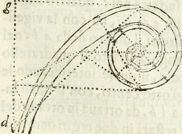An illustration from Architettura ciuile demostratiuamente proportionata et accresciuta di nuoue regole : con l'vso delle quali si facilita l'inuentione d'ogni douuta proportione nelli cinque ordini, e col ritrouamento d'vn nuouo strumento angolare, si da il modo à gl'operarij medesimi di pratticamente stabilire le sacome in ogni loro necessario contorno, 1661, leaf 350