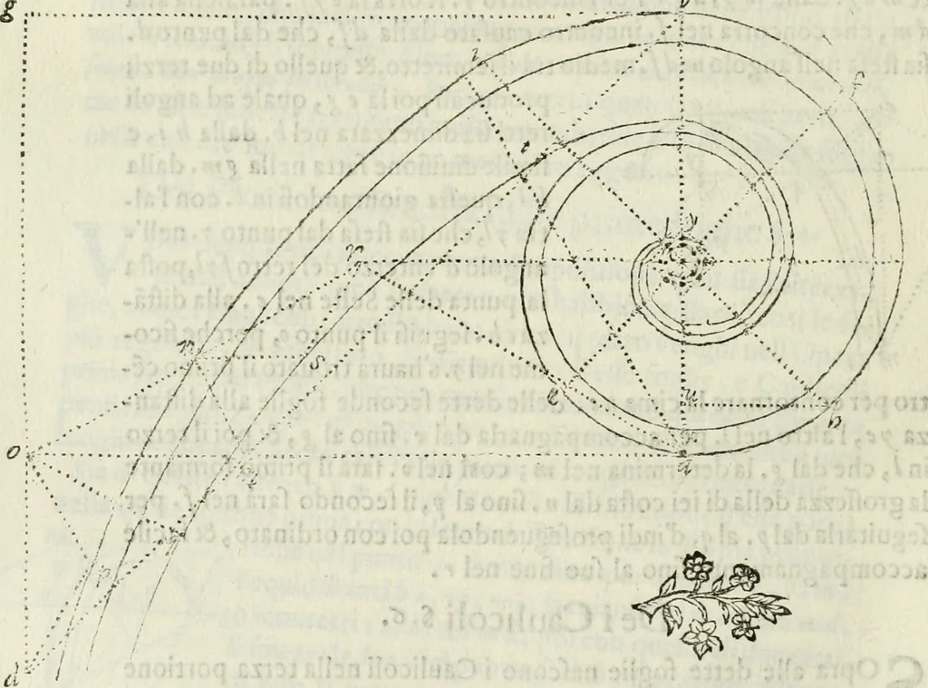 An illustration from Architettura ciuile demostratiuamente proportionata et accresciuta di nuoue regole : con l'vso delle quali si facilita l'inuentione d'ogni douuta proportione nelli cinque ordini, e col ritrouamento d'vn nuouo strumento angolare, si da il modo à gl'operarij medesimi di pratticamente stabilire le sacome in ogni loro necessario contorno, 1661, leaf 351