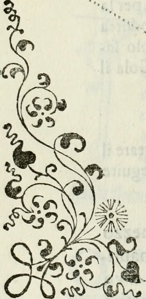 An illustration from Architettura ciuile demostratiuamente proportionata et accresciuta di nuoue regole : con l'vso delle quali si facilita l'inuentione d'ogni douuta proportione nelli cinque ordini, e col ritrouamento d'vn nuouo strumento angolare, si da il modo à gl'operarij medesimi di pratticamente stabilire le sacome in ogni loro necessario contorno, 1661, leaf 361