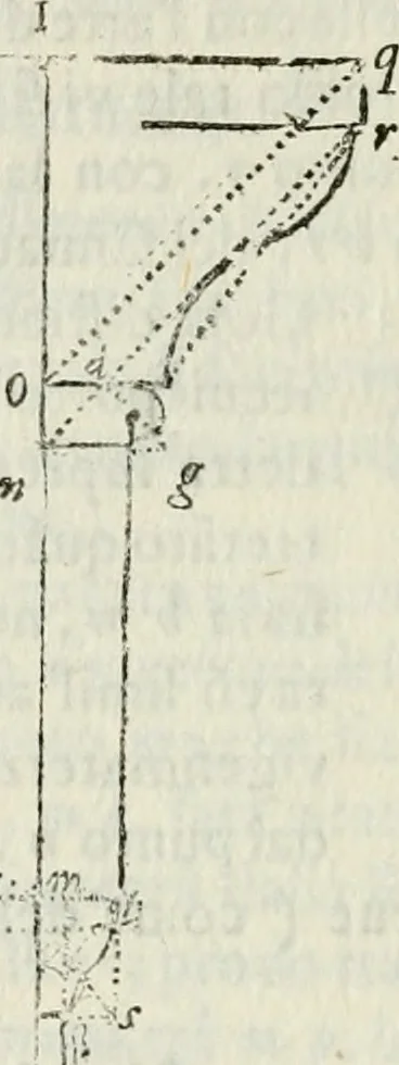 An illustration from Architettura ciuile demostratiuamente proportionata et accresciuta di nuoue regole : con l'vso delle quali si facilita l'inuentione d'ogni douuta proportione nelli cinque ordini, e col ritrouamento d'vn nuouo strumento angolare, si da il modo à gl'operarij medesimi di pratticamente stabilire le sacome in ogni loro necessario contorno, 1661, leaf 361