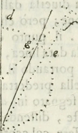 An illustration from Architettura ciuile demostratiuamente proportionata et accresciuta di nuoue regole : con l'vso delle quali si facilita l'inuentione d'ogni douuta proportione nelli cinque ordini, e col ritrouamento d'vn nuouo strumento angolare, si da il modo à gl'operarij medesimi di pratticamente stabilire le sacome in ogni loro necessario contorno, 1661, leaf 37