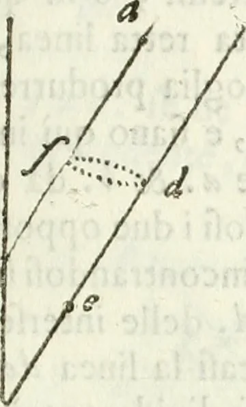 An illustration from Architettura ciuile demostratiuamente proportionata et accresciuta di nuoue regole : con l'vso delle quali si facilita l'inuentione d'ogni douuta proportione nelli cinque ordini, e col ritrouamento d'vn nuouo strumento angolare, si da il modo à gl'operarij medesimi di pratticamente stabilire le sacome in ogni loro necessario contorno, 1661, leaf 38