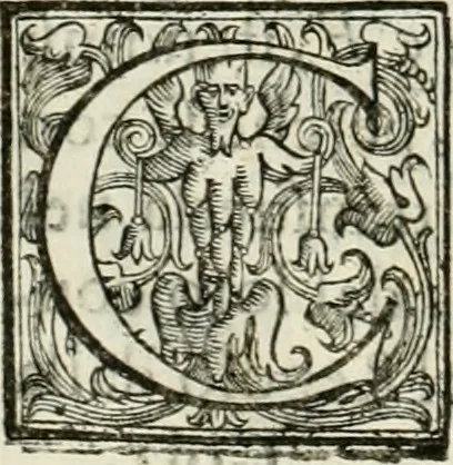 An illustration from Architettura ciuile demostratiuamente proportionata et accresciuta di nuoue regole : con l'vso delle quali si facilita l'inuentione d'ogni douuta proportione nelli cinque ordini, e col ritrouamento d'vn nuouo strumento angolare, si da il modo à gl'operarij medesimi di pratticamente stabilire le sacome in ogni loro necessario contorno, 1661, leaf 387