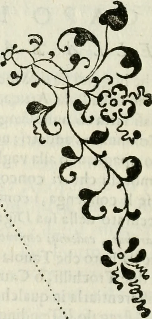 An illustration from Architettura ciuile demostratiuamente proportionata et accresciuta di nuoue regole : con l'vso delle quali si facilita l'inuentione d'ogni douuta proportione nelli cinque ordini, e col ritrouamento d'vn nuouo strumento angolare, si da il modo à gl'operarij medesimi di pratticamente stabilire le sacome in ogni loro necessario contorno, 1661, leaf 389