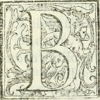 An illustration from Architettura ciuile demostratiuamente proportionata et accresciuta di nuoue regole : con l'vso delle quali si facilita l'inuentione d'ogni douuta proportione nelli cinque ordini, e col ritrouamento d'vn nuouo strumento angolare, si da il modo à gl'operarij medesimi di pratticamente stabilire le sacome in ogni loro necessario contorno, 1661, leaf 406