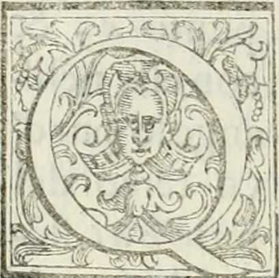 An illustration from Architettura ciuile demostratiuamente proportionata et accresciuta di nuoue regole : con l'vso delle quali si facilita l'inuentione d'ogni douuta proportione nelli cinque ordini, e col ritrouamento d'vn nuouo strumento angolare, si da il modo à gl'operarij medesimi di pratticamente stabilire le sacome in ogni loro necessario contorno, 1661, leaf 411