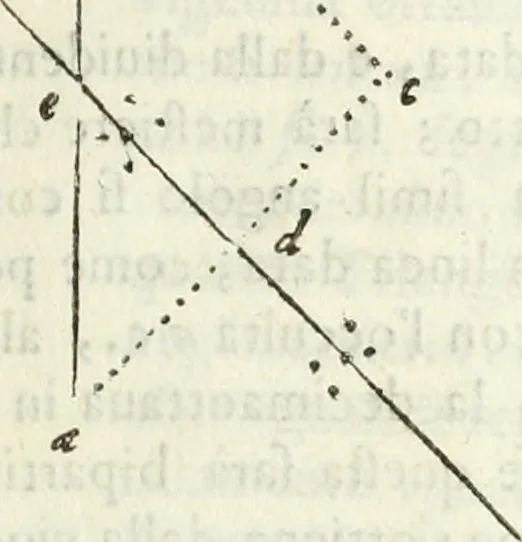 An illustration from Architettura ciuile demostratiuamente proportionata et accresciuta di nuoue regole : con l'vso delle quali si facilita l'inuentione d'ogni douuta proportione nelli cinque ordini, e col ritrouamento d'vn nuouo strumento angolare, si da il modo à gl'operarij medesimi di pratticamente stabilire le sacome in ogni loro necessario contorno, 1661, leaf 44