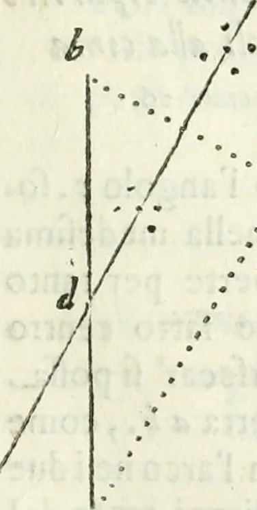 An illustration from Architettura ciuile demostratiuamente proportionata et accresciuta di nuoue regole : con l'vso delle quali si facilita l'inuentione d'ogni douuta proportione nelli cinque ordini, e col ritrouamento d'vn nuouo strumento angolare, si da il modo à gl'operarij medesimi di pratticamente stabilire le sacome in ogni loro necessario contorno, 1661, leaf 44