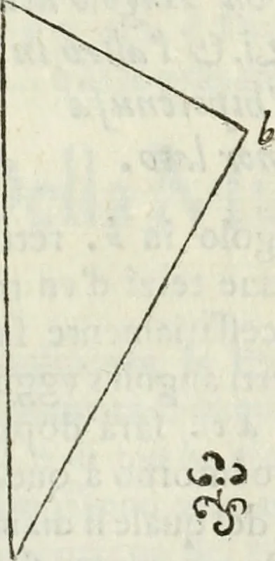 An illustration from Architettura ciuile demostratiuamente proportionata et accresciuta di nuoue regole : con l'vso delle quali si facilita l'inuentione d'ogni douuta proportione nelli cinque ordini, e col ritrouamento d'vn nuouo strumento angolare, si da il modo à gl'operarij medesimi di pratticamente stabilire le sacome in ogni loro necessario contorno, 1661, leaf 53