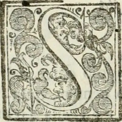An illustration from Architettura ciuile demostratiuamente proportionata et accresciuta di nuoue regole : con l'vso delle quali si facilita l'inuentione d'ogni douuta proportione nelli cinque ordini, e col ritrouamento d'vn nuouo strumento angolare, si da il modo à gl'operarij medesimi di pratticamente stabilire le sacome in ogni loro necessario contorno, 1661, leaf 55