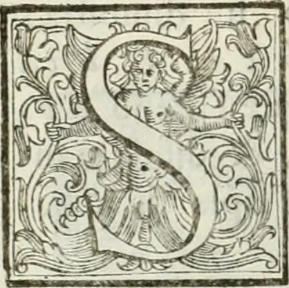 An illustration from Architettura ciuile demostratiuamente proportionata et accresciuta di nuoue regole : con l'vso delle quali si facilita l'inuentione d'ogni douuta proportione nelli cinque ordini, e col ritrouamento d'vn nuouo strumento angolare, si da il modo à gl'operarij medesimi di pratticamente stabilire le sacome in ogni loro necessario contorno, 1661, leaf 59