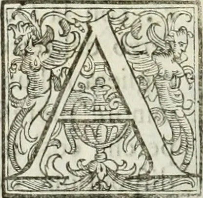 An illustration from Architettura ciuile demostratiuamente proportionata et accresciuta di nuoue regole : con l'vso delle quali si facilita l'inuentione d'ogni douuta proportione nelli cinque ordini, e col ritrouamento d'vn nuouo strumento angolare, si da il modo à gl'operarij medesimi di pratticamente stabilire le sacome in ogni loro necessario contorno, 1661, leaf 89
