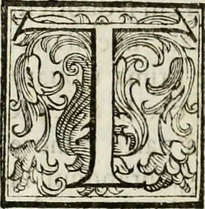 An illustration from Architettura ciuile demostratiuamente proportionata et accresciuta di nuoue regole : con l'vso delle quali si facilita l'inuentione d'ogni douuta proportione nelli cinque ordini, e col ritrouamento d'vn nuouo strumento angolare, si da il modo à gl'operarij medesimi di pratticamente stabilire le sacome in ogni loro necessario contorno, 1661, leaf 95