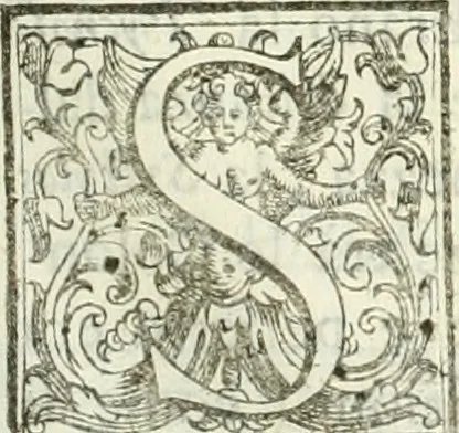 An illustration from Architettura civile demonstrativamente proportionata et accresciuta di nuove regole : con l'vso delle quali si facilita l'inventione d'ogni dovuta proportione nelli cinque ordini, e col ritrovamento d'vn nuovo strumento angolare, si da il modo à gl'operarij medesimi di pratticamente stabilire le sacome in ogni loro necessario contorno, 1686, leaf 106