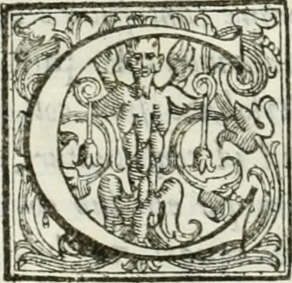 An illustration from Architettura civile demonstrativamente proportionata et accresciuta di nuove regole : con l'vso delle quali si facilita l'inventione d'ogni dovuta proportione nelli cinque ordini, e col ritrovamento d'vn nuovo strumento angolare, si da il modo à gl'operarij medesimi di pratticamente stabilire le sacome in ogni loro necessario contorno, 1686, leaf 111